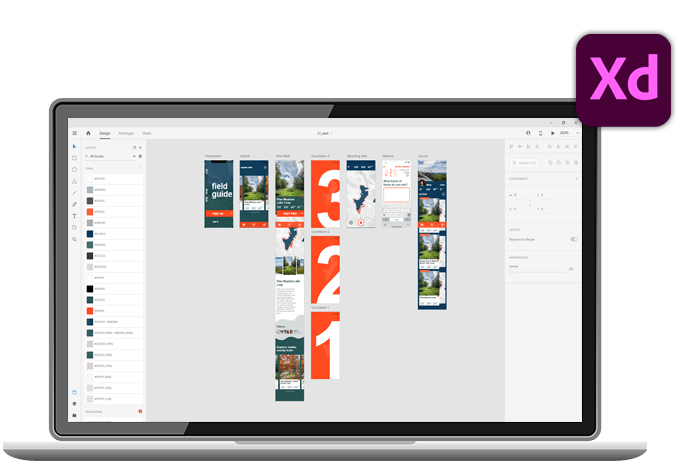 Adobe XD-graphic Gurukul